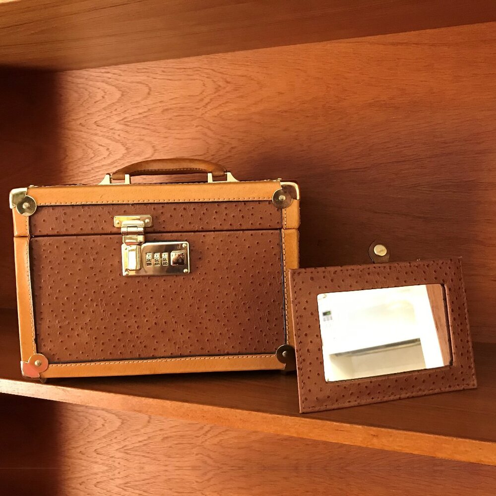 French Vintage VR DIANN Ostrich/Leather Vanity/Train Case 1970s